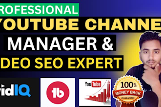 youtube channel growth manager and channel seo expert