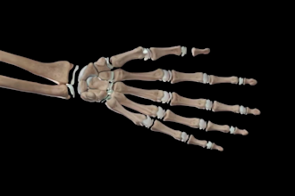 3d medical animation to explain your pharmaceutic, scientific,  medical product