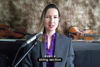 compose and record  HQ violin for your song