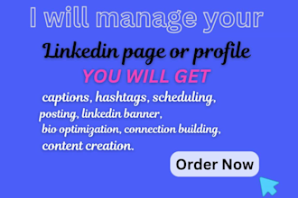 be your linkedin marketing manager and content creator