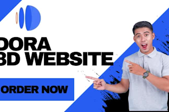 design redesign an interactive dora 3d website