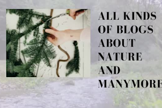 write, rewrite unique blogs and articles to grab attention