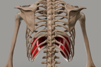 create 3d medical animation video, medical animation 3d medical explainer video
