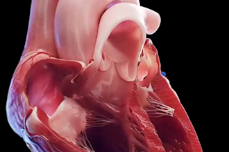 create 3d medical animation with high quality rendering