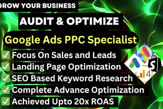 audit and optimize google PPC ads search ads SEM display ads, pmax as specialist