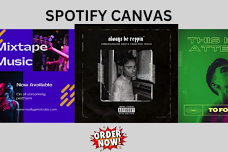 animate your album cover art for spotify canvas instagram or facebook story