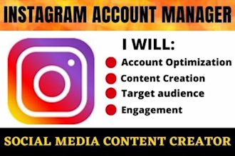 be your instagram account manager
