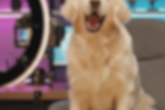 create cinematic ai video with google veo3, flow or gemini