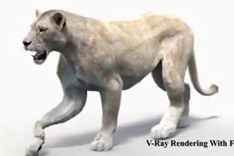 3d animal model,3d model, character modeling,3d cute,3d animal rigging animation