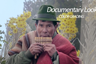 do professional video color grading and correction