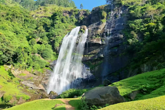 film exclusive original real nature relaxing videos by myself