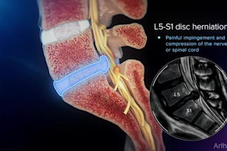 3d medical animation 3d anatomy 3d skeletal animation 3d medical visualization