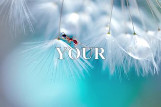 create photos and memorial heart touching video slideshow