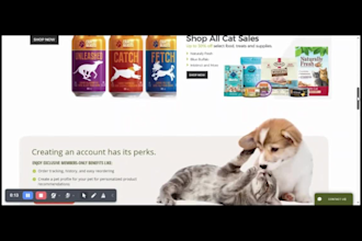 build hot pet accessories shopify store pet product store pet grooming website