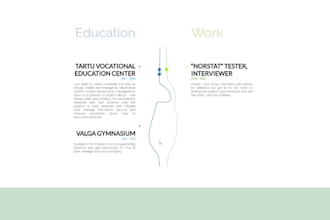 design professional wix wordpress or ecommerce website