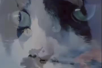 paint a custom watercolor pet portrait by hand