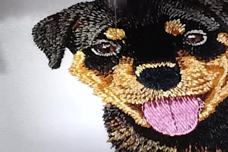 convert your logo or design into emb, dst, pes, pxf, jef embroidery file formats