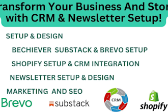set up klaviyo email flows, mailchimp newsletter, substack, brevo for shopify