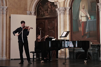teach you how to play the violin on a professional level
