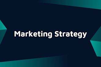 develop a customize digital marketing strategy for business
