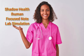 do lab simulations, ihuman and shadow health, and soap note
