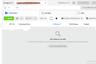 be a laser target audience facebook ads campaign with setup pixel