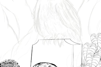 anime fanart ilustrator and comision