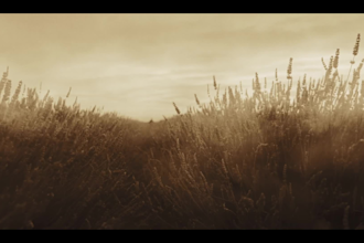 compose custom atmospheric music for your projects