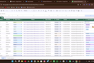 be your data analyst and visualization