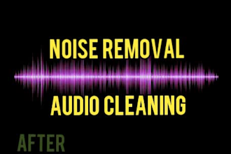 clean your audio, remove background noises