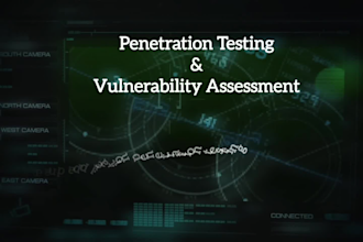 provide penetration testing and vulnerability assessment