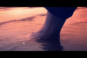 edit your footage with final cut pro 7 and premiere pro