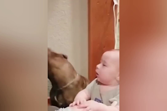 funny baby youtube short video reel within 24hr