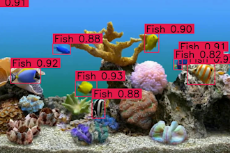 bring your computer vision and machine learning projects to life
