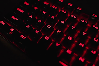 professional data entry and analysis