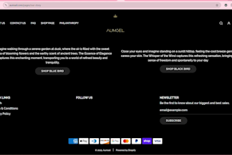 help create a professional business website