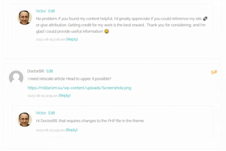 be a consultant on wordpress bugs, help, coding, advice