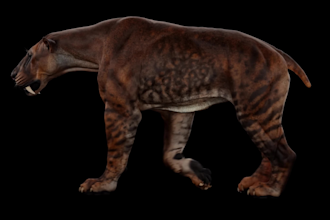 do cgi 3d animal animation, 3d animal design, cgi animal model with rigging