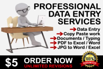 fast data entry and delivery services