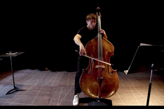 record double bass, deep organic expressive bass ,HQ