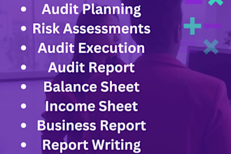 do audit control, profit and loss, income statement and audit planning