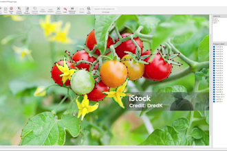 do image data annotation to build your ai model