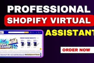 be your shopify virtual assistant, expert in design, bug fix and liquid coding