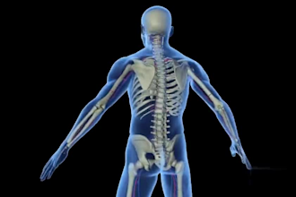 3d orthopedic spine anatomy animation 3d medical explainer, healthcare explainer
