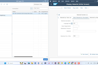 sap wm consultant  streamline your wm processes