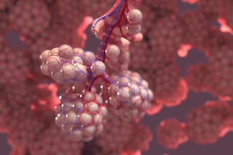 do high quality 3d medical animation, 3d medical video 3d medical illustrations
