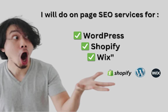 do  onpage SEO for wordpress, shopify, wix to improve google ranking