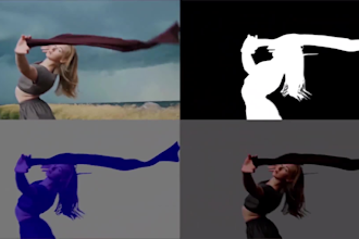 do rotoscoping, masking, green screen, background removal for videos