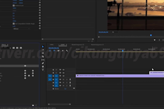 editing your footage colour grading,transition,add fx etc
