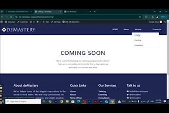 clone, build, rebuild, responsive websites for you in 24 hours